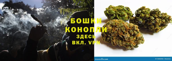 гидропоника Дмитриев