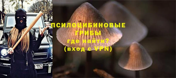 гидропоника Дмитриев