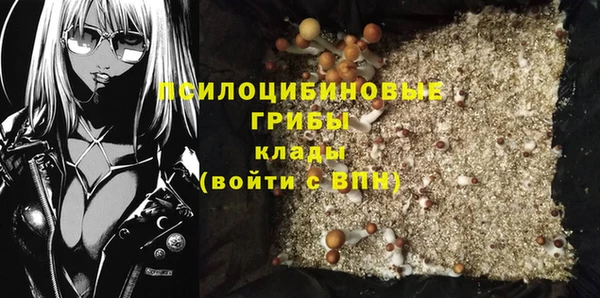 не бодяженный Дмитров