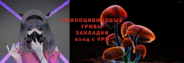 гидропоника Дмитриев