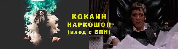 гидропоника Дмитриев