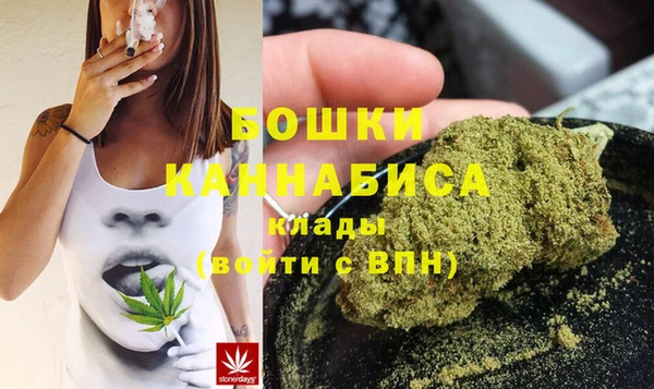 гидропоника Дмитриев