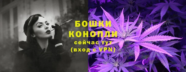 первитин Ельня