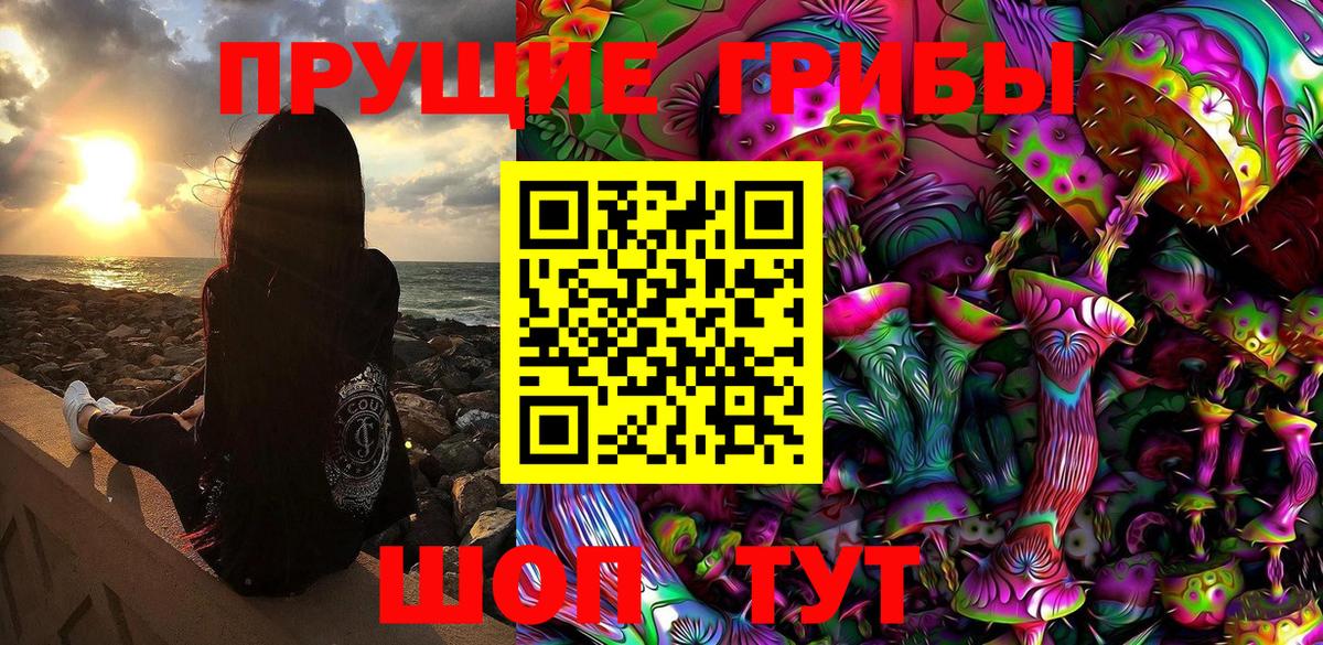 Псилоцибиновые грибы MAGIC MUSHROOMS  Вход с VPN  где продают   Галлюциногенные грибы Psilocybine cubensis  Нурлат 