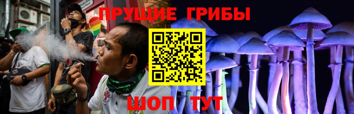 Псилоцибиновые грибы Psilocybe Нурлат